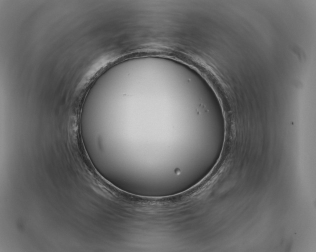 X0000113161355200909181802