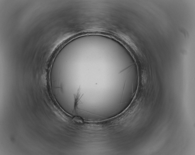 X0000113161356200909181802