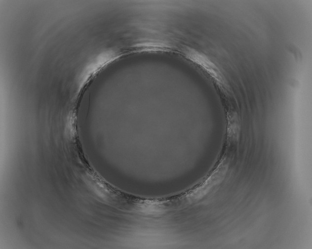 X0000113161357200909181802