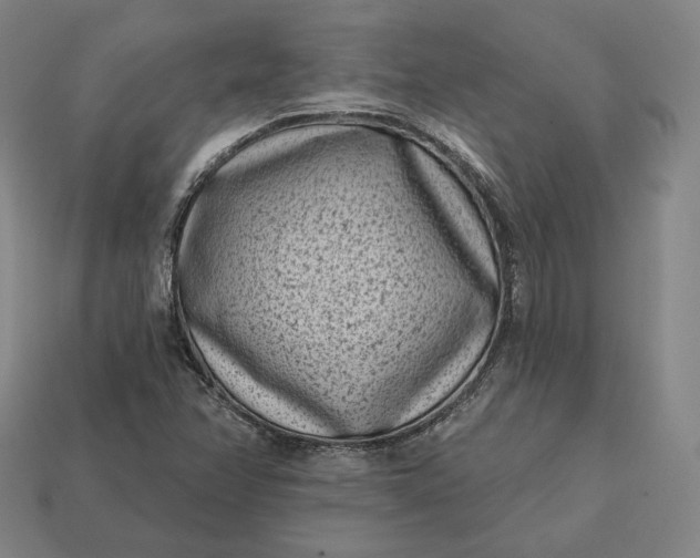 X0000113161358200909181802