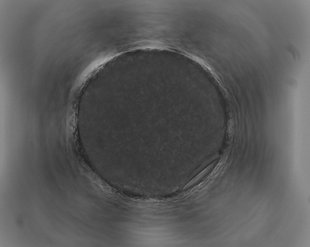 X0000113161359200909181802