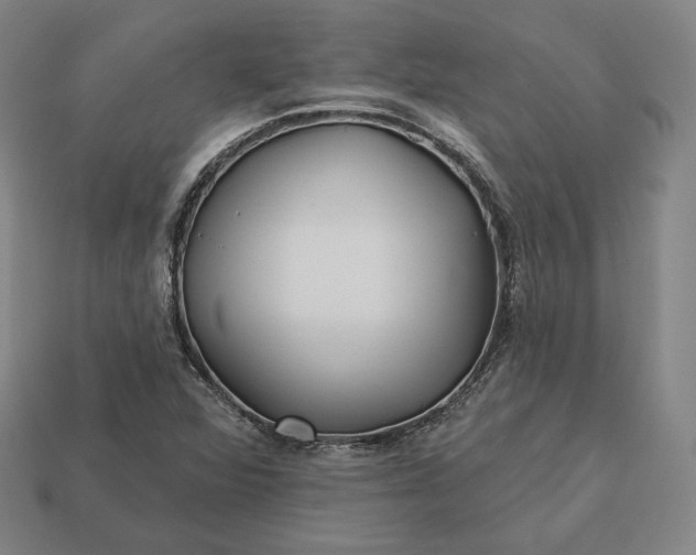 X0000113161360200909181802