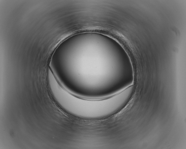 X0000113161361200909181802