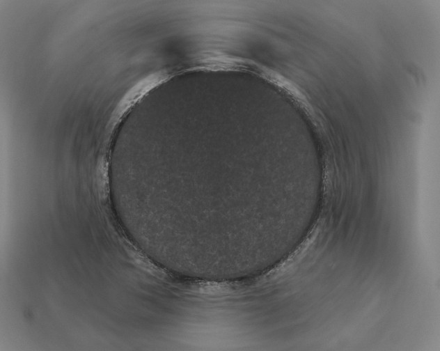 X0000113161362200909181802