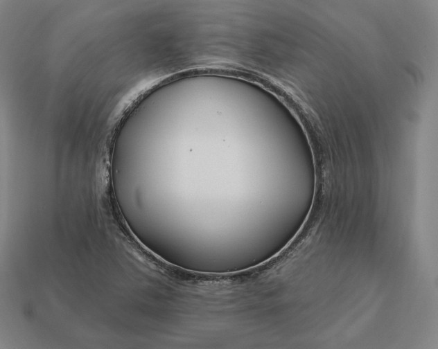 X0000113161363200909181802