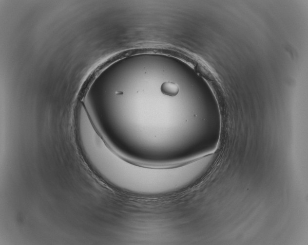 X0000113161364200909181802