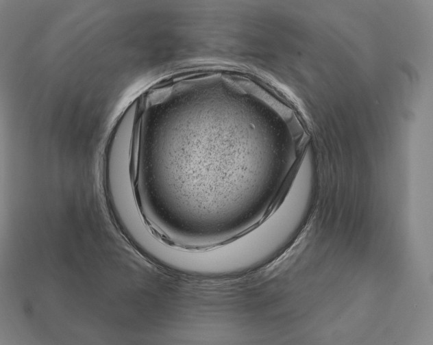 X0000113161365200909181802