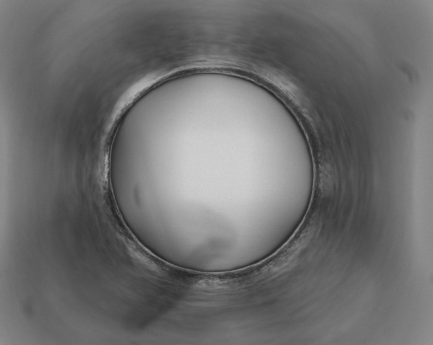 X0000113161366200909181802