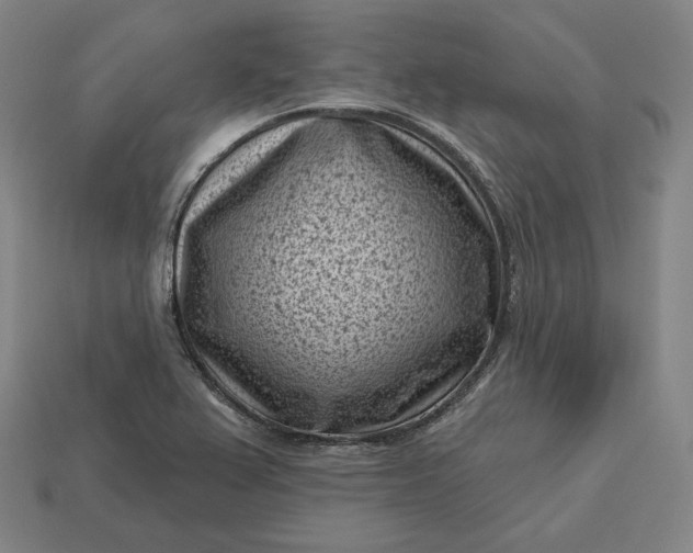 X0000113161367200909181802