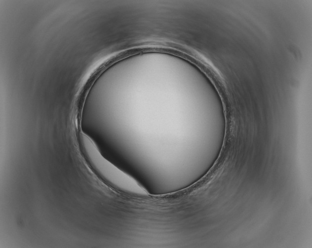 X0000113161368200909181802