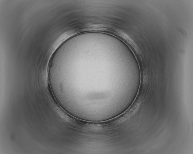 X0000113161370200909181802