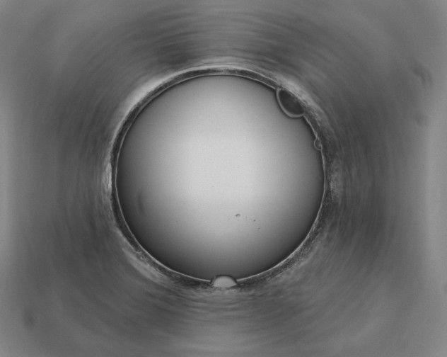 X0000113161372200909181802