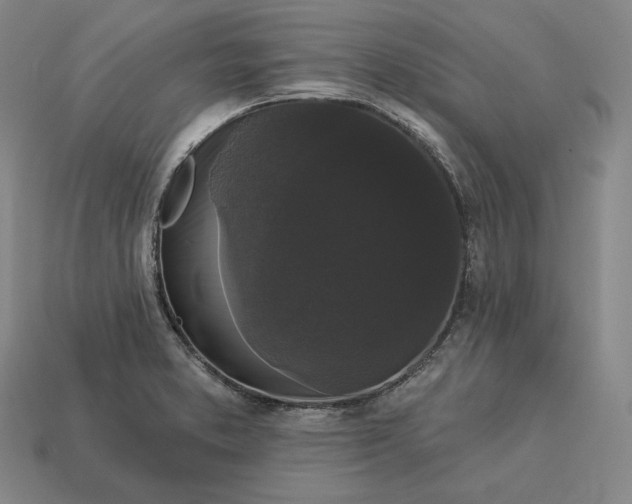 X0000113161373200909181802