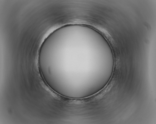 X0000113161374200909181802