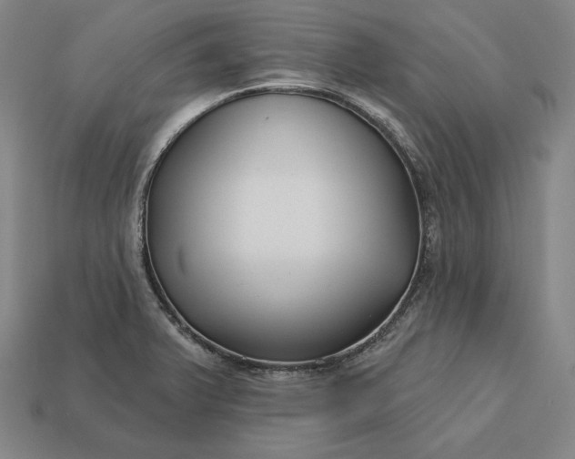 X0000113161375200909181802