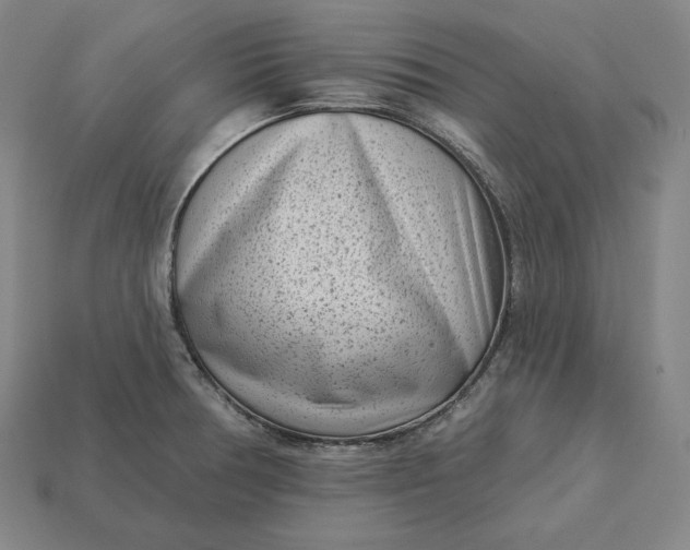 X0000113161378200909181802