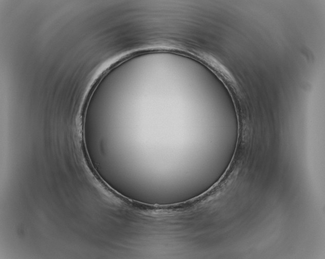 X0000113161380200909181802