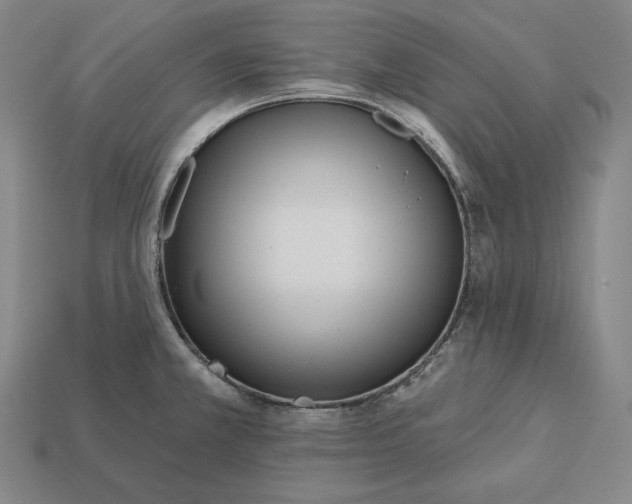 X0000113161381200909181802