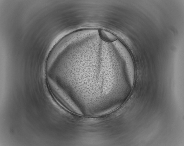 X0000113161382200909181802