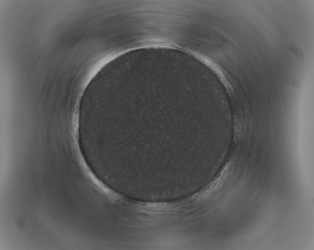 X0000113161383200909181802