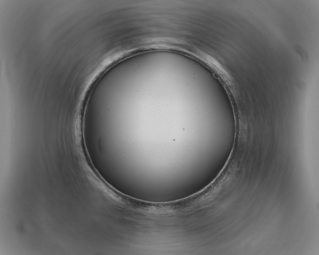 X0000113161384200909181802