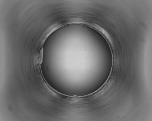 X0000113161385200909181802