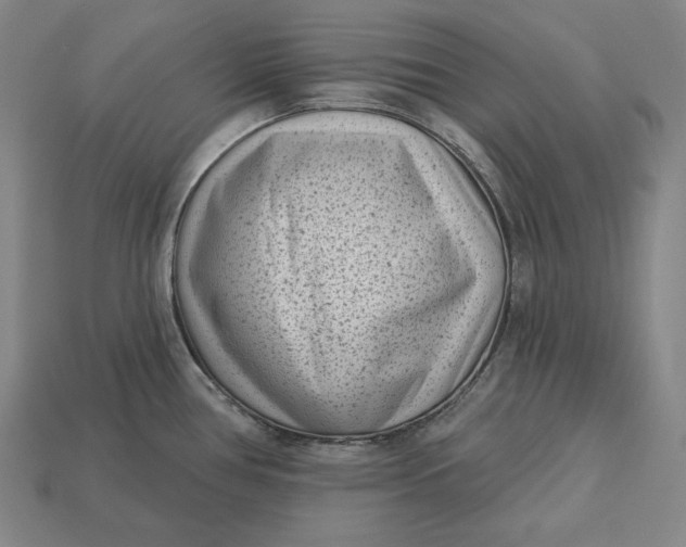 X0000113161386200909181802