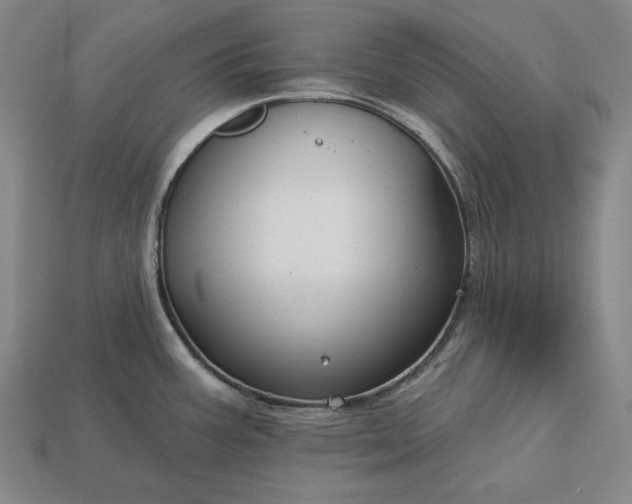 X0000113161387200909181802