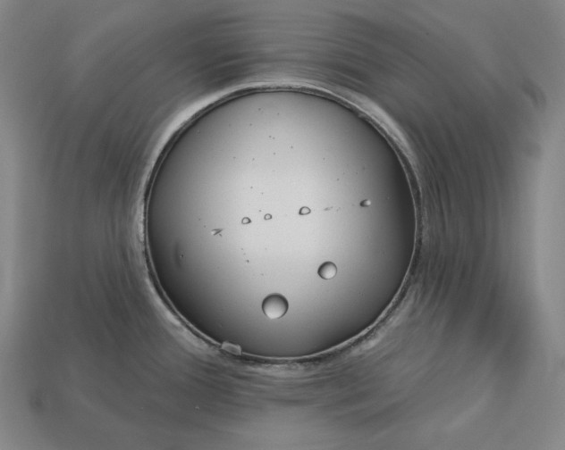 X0000113161388200909181802