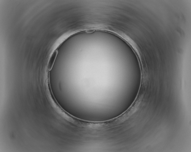 X0000113161389200909181802