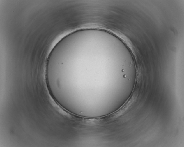 X0000113161390200909181802