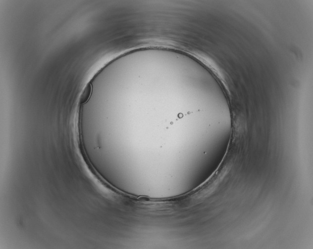 X0000113161391200909181802