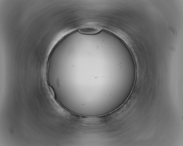 X0000113161392200909181802