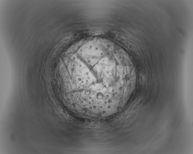 X0000113161393200909181801