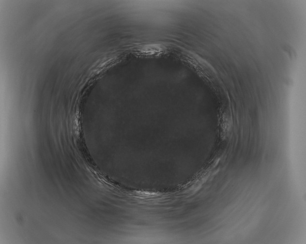 X0000113161394200909181801