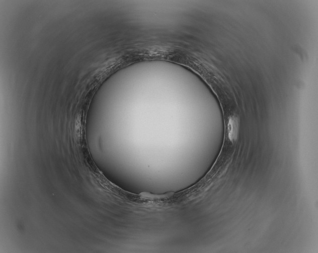 X0000113161395200909181801