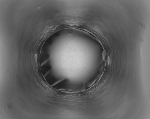 X0000113161396200909181801