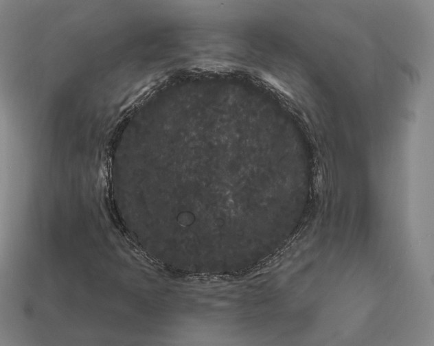 X0000113161397200909181801