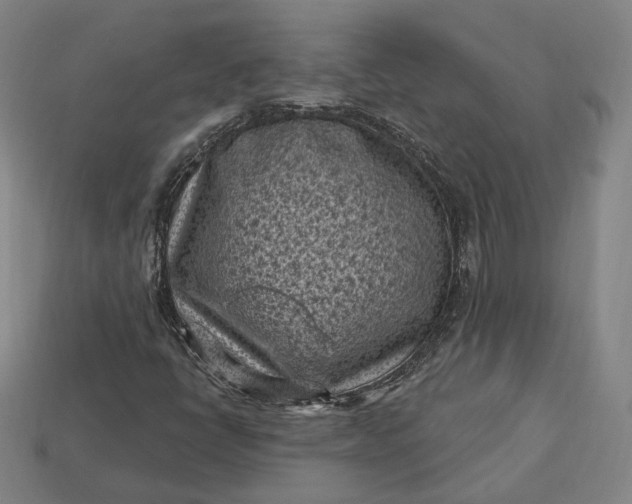 X0000113161398200909181801