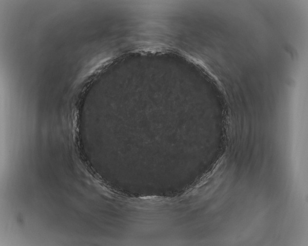 X0000113161399200909181801