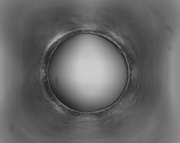 X0000113161400200909181801