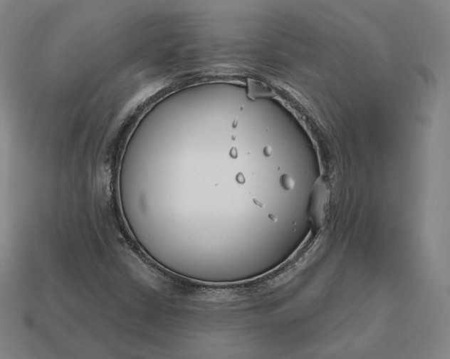 X0000113161402200909181801