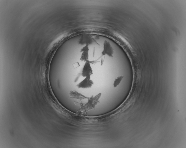 X0000113161403200909181801