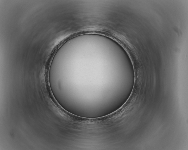 X0000113161404200909181801