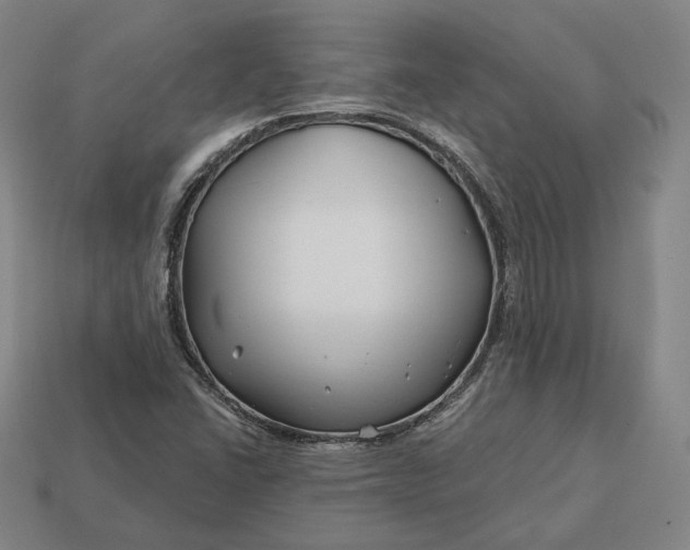 X0000113161406200909181801