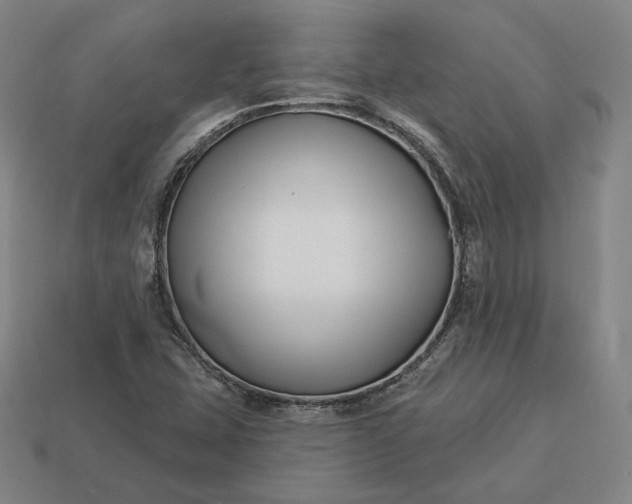 X0000113161407200909181801