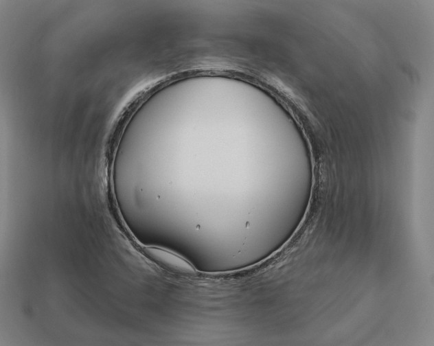 X0000113161408200909181801