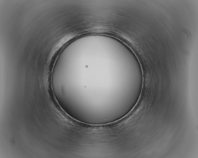 X0000113161410200909181801