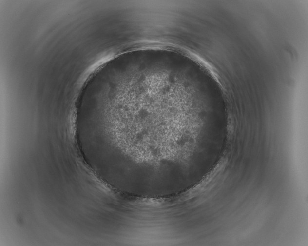 X0000113161411200909181801