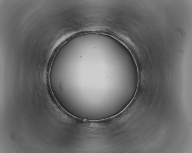 X0000113161412200909181802